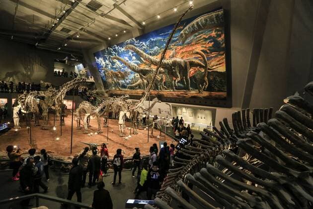 CHONGQING -- People visit the new Chongqing Museum of Natural History in Chongqing, southwest China, Nov. 15, 2015. The new Chongqing Museum of Natural History, the second largest natural museum in China, reopened on Nov. 9, 2015. ) (zwx) CHINA-CHONGQING-MUSEUM OF NATURAL HISTORY-REOPENING(CN) QinxTingfu 