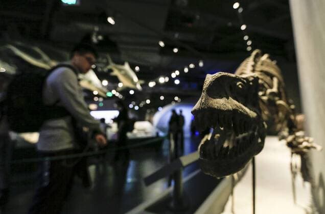 CHONGQING -- People visit the new Chongqing Museum of Natural History in Chongqing, southwest China, Nov. 15, 2015. The new Chongqing Museum of Natural History, the second largest natural museum in China, reopened on Nov. 9, 2015. ) (zwx) CHINA-CHONGQING-MUSEUM OF NATURAL HISTORY-REOPENING(CN) QinxTingfu 