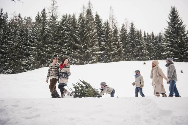 Austria, Altenmarkt-Zauchensee, two couples and two children transporting Christmas tree through winter forest model released Symbolfoto  HHF005378