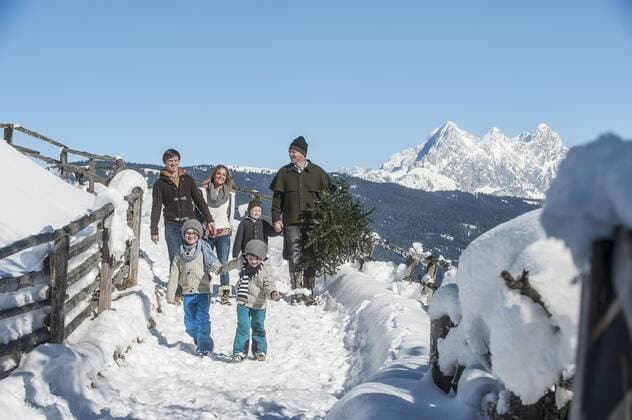 Austria, Altenmarkt-Zauchensee, man with family carrying Christmas tree in winter landscape model released Symbolfoto  HHF005390