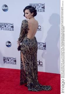 Recording artist Demi Lovato arrives for the 43rd annual American Music Awards held at Microsoft Theater in Los Angeles on November 22, 2015.  LAP20151122141 JIMxRUYMEN