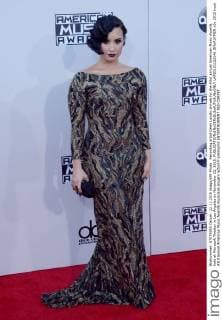 Recording artist Demi Lovato arrives for the 43rd annual American Music Awards held at Microsoft Theater in Los Angeles on November 22, 2015.  LAP20151122146 JIMxRUYMEN