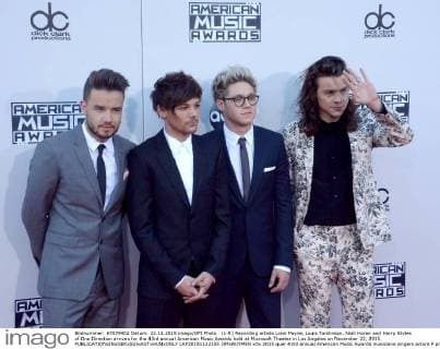 (L-R) Recording artists Liam Payne, Louis Tomlinson, Niall Horan and Harry Styles of One Direction arrives for the 43rd annual American Music Awards held at Microsoft Theater in Los Angeles on November 22, 2015.  LAP20151122155 JIMxRUYMEN