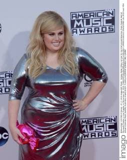 Actress Rebel Wilson arrives for the 43rd annual American Music Awards held at Microsoft Theater in Los Angeles on November 22, 2015.  LAP20151122163 JIMxRUYMEN