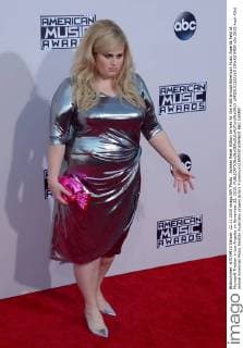 Actress Rebel Wilson arrives for the 43rd annual American Music Awards held at Microsoft Theater in Los Angeles on November 22, 2015.  LAP20151122165 JIMxRUYMEN