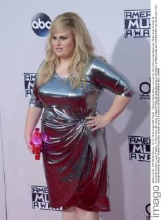 Actress Rebel Wilson arrives for the 43rd annual American Music Awards held at Microsoft Theater in Los Angeles on November 22, 2015.  LAP20151122233 JIMxRUYMEN