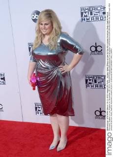 Actress Rebel Wilson arrives for the 43rd annual American Music Awards held at Microsoft Theater in Los Angeles on November 22, 2015.  LAP20151122234 JIMxRUYMEN