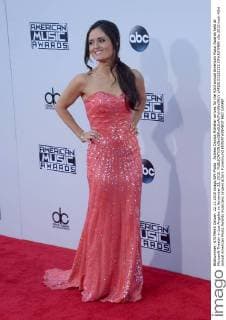 Actress Danica McKellar arrives for the 43rd annual American Music Awards held at Microsoft Theater in Los Angeles on November 22, 2015.  LAP20151122332 JIMxRUYMEN