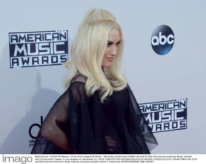 Recording artist Gwen Stefani arrives for the 43rd annual American Music Awards held at Microsoft Theater in Los Angeles on November 22, 2015.  LAP2015112274 JIMxRUYMEN