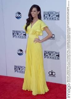 TV personality Terri Seymour arrives for the 43rd annual American Music Awards held at Microsoft Theater in Los Angeles on November 22, 2015.  LAP20151122478 JIMxRUYMEN