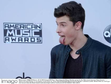 Recording artist Shawn Mendes arrives for the 43rd annual American Music Awards held at Microsoft Theater in Los Angeles on November 22, 2015.  LAP20151122502 JIMxRUYMEN