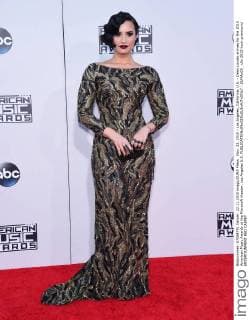 Nov. 22, 2015 - Los Angeles, California, U.S. - Demi Lovato arrives for the 2015 American Music Awards at the Microsoft theater. Los Angeles U.S. - ZUMAo05_