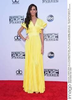 Nov. 22, 2015 - Los Angeles, California, U.S. - Terri Seymour arrives for the 2015 American Music Awards at the Microsoft theater. Los Angeles U.S. - ZUMAo05_