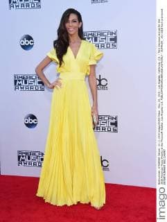 Nov. 22, 2015 - Los Angeles, California, U.S. - Terri Seymour arrives for the 2015 American Music Awards at the Microsoft theater. Los Angeles U.S. - ZUMAo05_