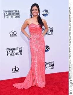 Nov. 22, 2015 - Los Angeles, California, U.S. - Danica McKellar arrives for the 2015 American Music Awards at the Microsoft theater. Los Angeles U.S. - ZUMAo05_