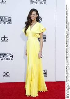 Terri Seymour attending the 2015 American Music Awards at Microsoft Theater on November 22, 2015 in Los Angeles, California. Foto:xD.xBedrosianx xFuturexImage