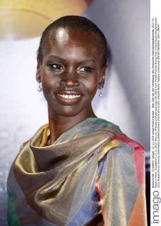 Alek Wek bei der Verleihung des Deutschen Nachhaltigkeitspreises 2015 im Maritim Hotel. Düsseldorf, 27.11.2015 Foto:xO.xHausenx xFuturexImage