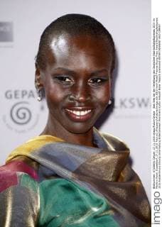 Alek Wek bei der Verleihung des Deutschen Nachhaltigkeitspreises 2015 im Maritim Hotel. Düsseldorf, 27.11.2015 Foto:xO.xHausenx xFuturexImage
