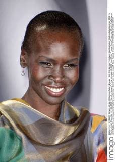 Alek Wek bei der Verleihung des Deutschen Nachhaltigkeitspreises 2015 im Maritim Hotel. Düsseldorf, 27.11.2015 Foto:xO.xHausenx xFuturexImage