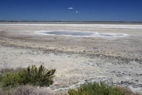 Salzlandschaft der Camargue, Frankreich, Grand Camargue salt marsh in the Camargue, France, Grand Camargue BLWS165897