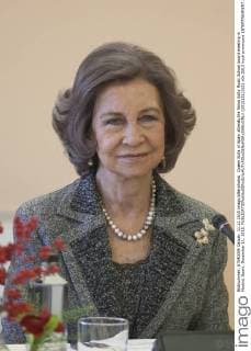Queen Sofia of Spain attends the Reina Sofia Music School board meeting in Madrid, Spain. December 11, 2015.  (20151211021)