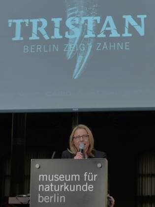 151217 wpBerlin : Cornelia Yzer präsentierte das Skelett des 66 Mio. Jahre alten Sauriers