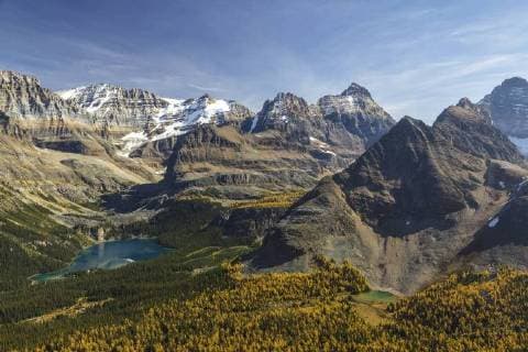 Lake O Hara from the Odaray Highline trail in autumn, Yoho National Park, British Columbia, Canada.  acp90930 Photography