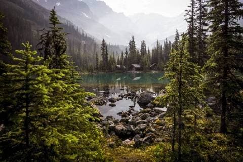 Lake O Hara in Yoho National Park, Canadian Rockies.  acp91470 Photography