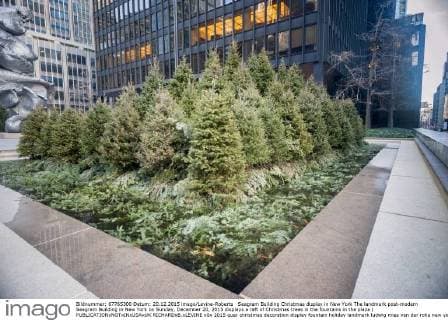 Architektur von Philip Johnson Seagram Building Christmas display in New York The landmark post-modern Seagram Building in New York on Sunday, December 20, 2015 displays a raft of Christmas trees in the fountains in the plaza (  RICHARDxB.xLEVINE