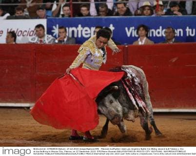 Mexican bullfighter Jose Luis Angelino fights his 482kg second bull Tabaco y Oro at the Bullring in Mexico City, Mexico, on 27 December 2015. EFE Mario Guzman BULLFIGHTING IN MEXICO CITY !ACHTUNG: NUR REDAKTIONELLE NUTZUNG!  MEX13