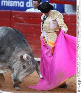 Spanish bullfighter Victor Puerto fights his 493kg second bull Piedras y Lagunas at the Bullring in Mexico City, Mexico, on 27 December 2015. EFE Mario Guzman BULLFIGHTING IN MEXICO CITY !ACHTUNG: NUR REDAKTIONELLE NUTZUNG! 