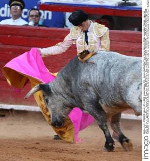 Spanish bullfighter Victor Puerto fights his 493kg second bull Piedras y Lagunas at the Bullring in Mexico City, Mexico, on 27 December 2015. EFE Mario Guzman BULLFIGHTING IN MEXICO CITY !ACHTUNG: NUR REDAKTIONELLE NUTZUNG! 