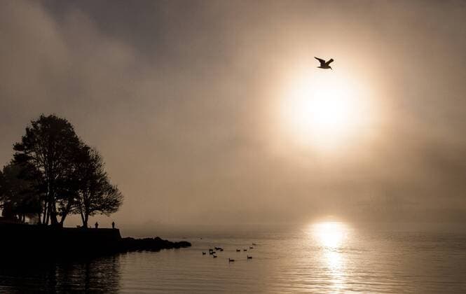 Oct. 17, 2013 - Vancouver, BC, Canada - The sun shines through the early morning fog by Stanley Park in Vancouver, B.C. on Thursday October 17, 2013. Carmine Marinelli Vancouver 24hours QMI Agency - ZUMAq06
