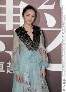 BEIJING, CHINA - JANUARY 07: (CHINA OUT) Actress Yao Chen arrives at the red carpet of the 2015 Sina Weibo Award Ceremony at China World Trade Center Tower III on January 7, 2016 in Beijing, China.  CFP477916109
