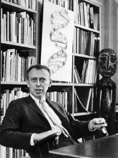 IMAGO History, Entdeckung der Doppelhelixstruktur der DNA: 1953 United States: c. 1962 Dr. Jame D. Watson sitting at his desk in front of a drawing of the double helix structure of DNA. xUnderwoodxArchives 1-Sci-Misc_14