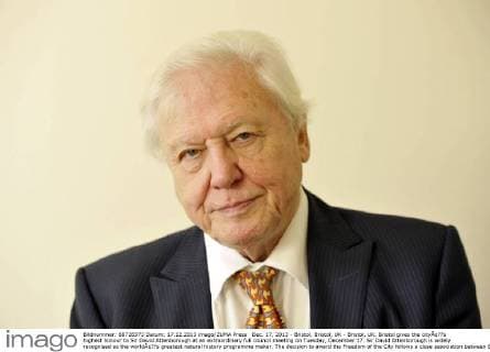 IMAGO ICONS: Sir David Attenborough Dec. 17, 2013 - Bristol, Bristol, UK - Bristol, UK. Bristol gives the cityÃ¢??s highest honour to Sir David Attenborough at an extraordinary full council meeting on Tuesday, December 17. Sir David Attenborough is widely recognised as the worldÃ¢??s greatest natural history programme maker. The decision to award the Freedom of the City follows a close association between Bristol, the BBCÃ¢??s Natural History Unit (based in Bristol) and the renowned naturalist and film-maker. Freedom of the City will mean that Sir David AttenboroughÃ¢??s name is added to the Roll of Honorary Freemen of the City. Sir David AttenboroughÃ¢??s career as a naturalist and broadcaster has spanned nearly six decades and there are very few places on the globe he has not visited. 17 December 2013..Photo credit : Simon Chapman LNP  - ZUMAl94_