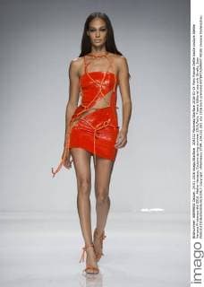 204232 Marineau Starface 2016-01-24 Paris France Defile haute couture Atellier Versace Printemps été 2016. Atelier Versace, Couture spring-summer 2016,Paris, France Editorial use only Smalls, Joan  Copyright: xMarineaux STAR_204232_093