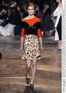 Paris Fashion Week - Christian Dior Modenschau 204257 Marineau Starface 2016-01-25 Paris France Paris Fashion week. Defilé Haute Couture Printemps été 2016 Christian Dior. Christian Dior, spring-summer 2016 Paris, France Editorial use only _sans_perso  Copyright: xMarineaux STAR_204257_004