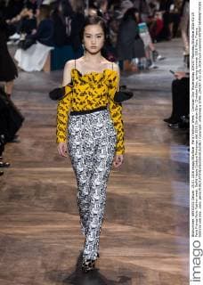 Paris Fashion Week - Christian Dior Modenschau 204257 Marineau Starface 2016-01-25 Paris France Paris Fashion week. Defilé Haute Couture Printemps été 2016 Christian Dior. Christian Dior, spring-summer 2016 Paris, France Editorial use only _sans_perso  Copyright: xMarineaux STAR_204257_032