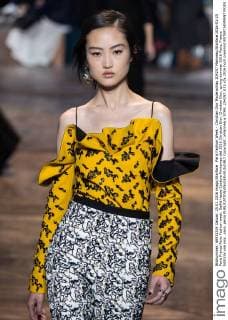 Paris Fashion Week - Christian Dior Modenschau 204257 Marineau Starface 2016-01-25 Paris France Paris Fashion week. Defilé Haute Couture Printemps été 2016 Christian Dior. Christian Dior, spring-summer 2016 Paris, France Editorial use only _sans_perso  Copyright: xMarineaux STAR_204257_033