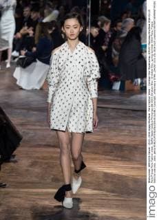 Paris Fashion Week - Christian Dior Modenschau 204257 Marineau Starface 2016-01-25 Paris France Paris Fashion week. Defilé Haute Couture Printemps été 2016 Christian Dior. Christian Dior, spring-summer 2016 Paris, France Editorial use only _sans_perso  Copyright: xMarineaux STAR_204257_035