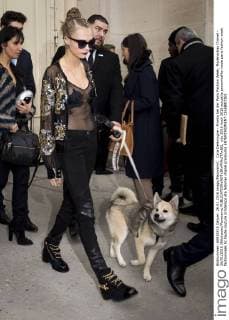 Cara Delevingne - Promis bei der Paris Fashion Week, Modenschau Chanel - 26 01 2016 JBAutissier Panoramic 