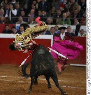 Stierkampf in Mexiko-Stadt French bullfighter Sebastian Castella is tossed by a bull during a bullfighting part of the Mexican Big Season in Mexico City, Mexico, 05 February 2016. EFE Mario Guzman Bullfitghting Big Season in Mexico !ACHTUNG: NUR REDAKTIONELLE NUTZUNG!  MEX36 20160206-635903371009621620