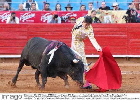 Stierkampf in Mexiko-Stadt Mexican bullfighter Diego Silveti fights his first bull Oye Poco , 490 kgs, during the 18 bullfight of the Big Season at the bullring of Mexico city, Mexico, 07 Februaru 2016. EFE Mario Guzman MEXICO BIG SEASON !ACHTUNG: NUR REDAKTIONELLE NUTZUNG!  MEX24 20160208-635905043816248544