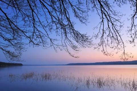 Dusk at Tollensesee lake with overhanging tree branch silhouetted, Mecklenburg-Vorpommern, Germany, April  1401826 SandraxBartocha