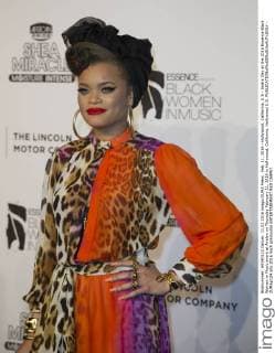 Feb. 11, 2016 - Hollywood, California, U.S - Andra Day at the 2016 Essence Black Women in Music event at Avalon on Thursday February 11, 2016 in Hollywood, California. Hollywood U.S. - ZUMAp124