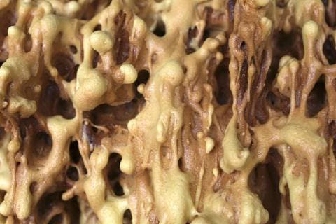 Detail eines Prügelkrapfens  1065505766