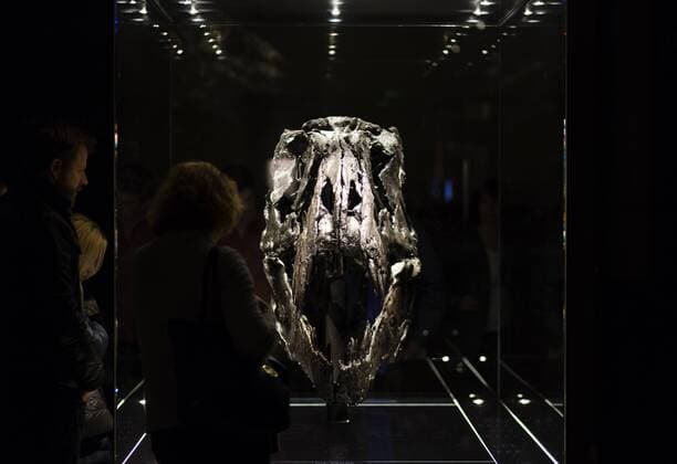 Das Skelett eines Dinosauriers der Art Tyrannosaurus Rex mit dem Namen Tristan Otto wird im Naturkundemuseum in Berlin - Mitte ausgestellt. The skeleton of Tristan the Tyrannosaurus Rex is displayed at the Museum fuer Naturkunde (Natural History Museum) in Berlin, Germany. Tyrannosaurus Tristan Otto im Berliner Naturkundemuseum