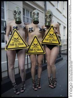 . 19 02 2016. London, United Kingdom. A PETA anti fur demo outside the opening day of London Fashion Week.  xStephenxLockx xi-Imagesx IIM-12000-0006