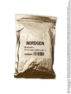 Sample of package with wheat seeds as stored in the vault. Svalbard Global Seed Vault, Svalbard, Norway.  1473697 PalxHermansen